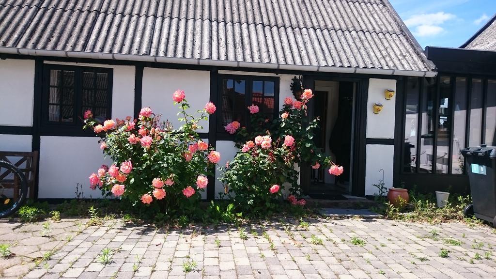 Dastrup Bed & Breakfast Viby Екстер'єр фото